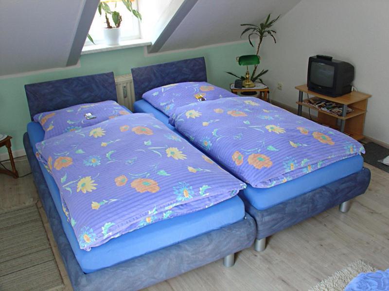 Hotel-Pension Koenigswald เดรสเดน ห้อง รูปภาพ